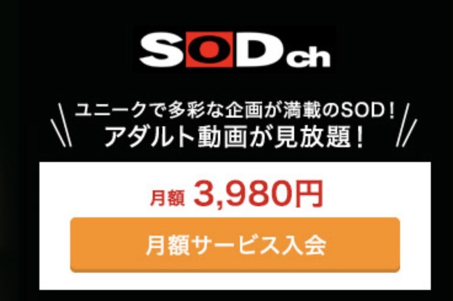 SODチャンネル 料金